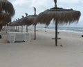 El Mouradi Palm Marina
