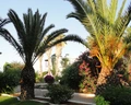 Merit Cyprus Gardens