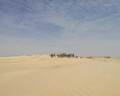 Sangho Village Djerba
