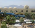 Palmyra Amar Al Zaman