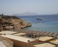 Palmyra Amar Al Zaman