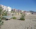 Bieno Club SVS