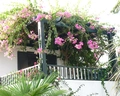 Anna Maria Village (Hersonissos)
