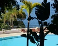 Regency Palace Madeira