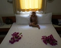Smart Holiday Bodrum