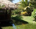 Dreams Flora Resort & Spa