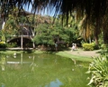 Dreams Flora Resort & Spa