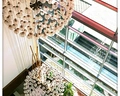 White City Resort