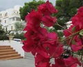 Club Es Talaial Hotel Apartamentos