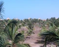 Riu Palace Cabo Verde