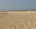 Riu Palace Cabo Verde