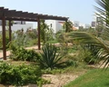 Melia Dunas Beach Resort & Spa