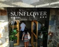 Sunflower (Qawra)