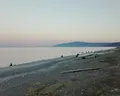 Vakis