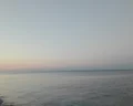 Vakis