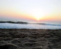 Oasis Del Mare