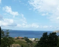 Bisevo