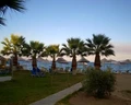 Brown Beach Evia Island