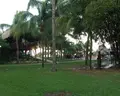 Celuisma Dos Playas