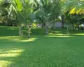 Celuisma Dos Playas
