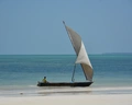 Jaz Adonia Beach Resort