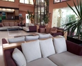 Paradis Palace