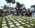 Paradis Palace