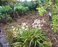 Quinta Splendida Wellness & Botanical Garden