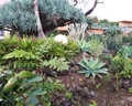 Quinta Splendida Wellness & Botanical Garden