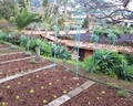 Quinta Splendida Wellness & Botanical Garden