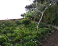 Quinta Splendida Wellness & Botanical Garden