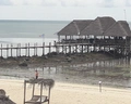 Paradise Beach Resort (Uroa)