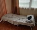 Pishat e Buta
