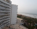 Riadh Palms