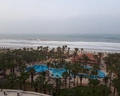 Riadh Palms