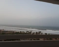 Riadh Palms