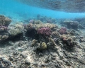 Menaville Safaga
