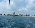 Izola Paradise
