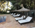 H10 Punta Negra