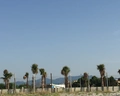 Redebora