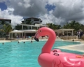HM Alma de Bayahibe