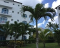 HM Alma de Bayahibe