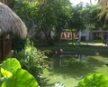 Dreams Flora Resort & Spa