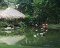 Dreams Flora Resort & Spa