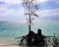 Dusit Thani Krabi Beach Resort