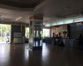 Riu Naiboa