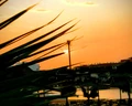 Sol Dunas
