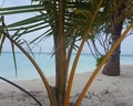 Fun Island