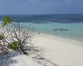 Fun Island