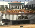 Siva Sharm Resort & Spa